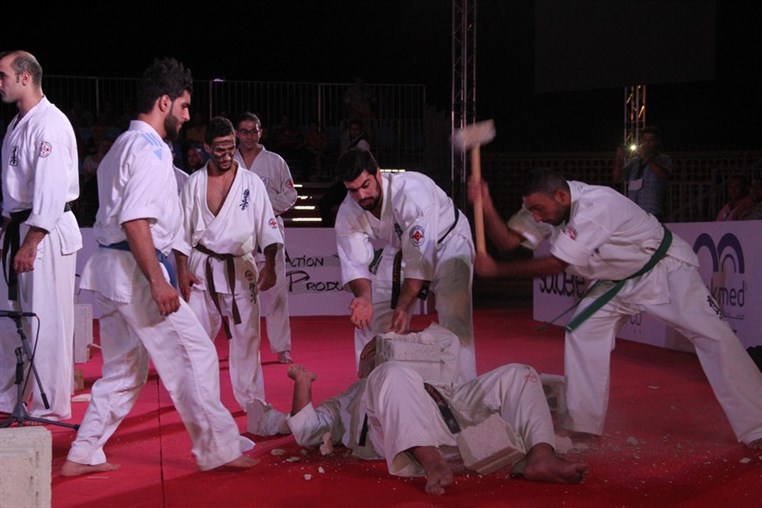 Martial Arts Festival